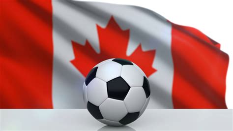 Canadian Bet Calculator .